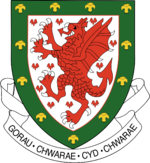 Logo FA Wales.png