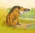 Andrewsarchus.jpg