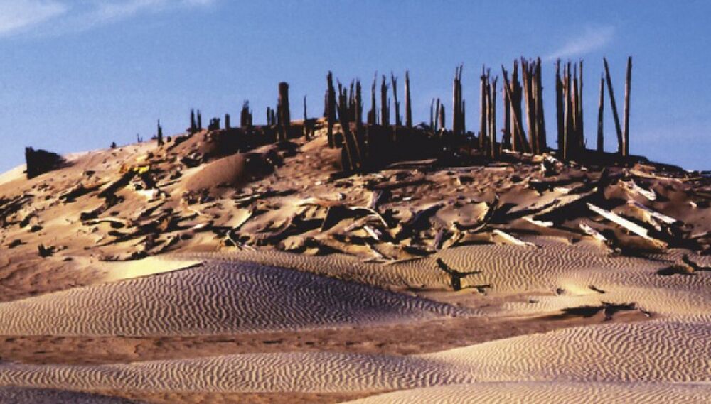 1900 Überreste des Wüstenreiches Loulan.jpg