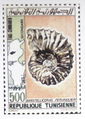 Tunesischer Ammonit.jpg