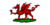 Wales 1807-1953.png